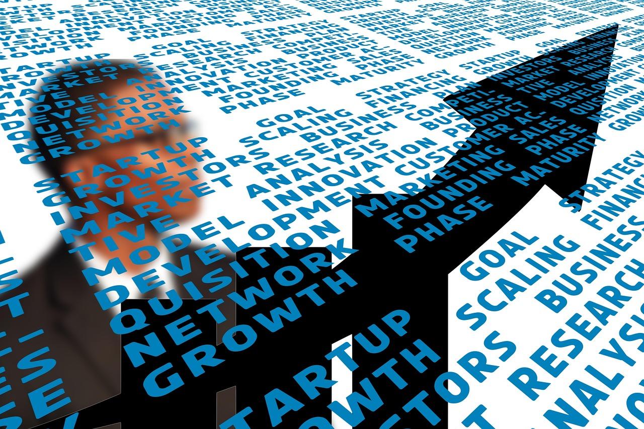 startup, goal, strategy, growth, scaling, financing, investors, business, plan, market, research, competitive analysis, business model, innovation, product, development, customer, acquisition, marketing, sales, network, founding, phase