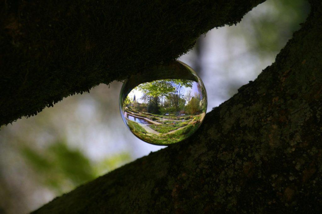 tree, world, head, glass sphere, silhouettes, nature, perception, bullet, mystical, creativity, imagination, inspiration, close up, perception, perception, perception, perception, perception