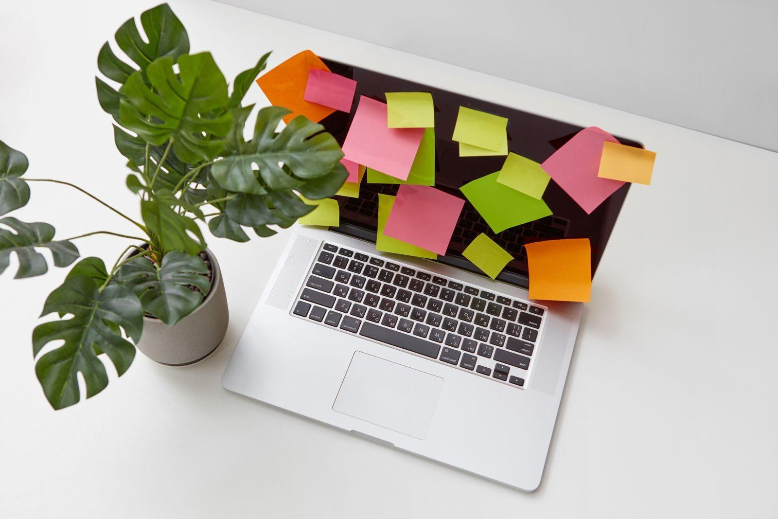 Top view of a desk featuring a laptop covered with sticky notes and a potted plant for productivity and planning.