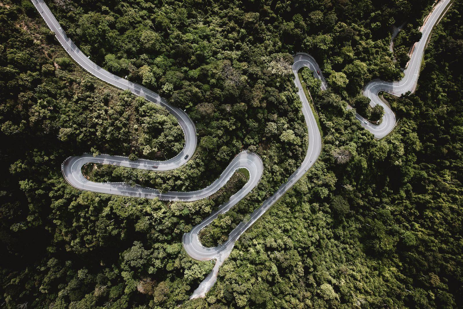 Bird's eye view of a winding road through lush green forest, depicting nature's beauty.